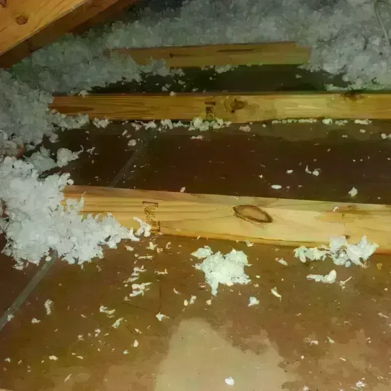 Attic Water Damage in King George County, VA