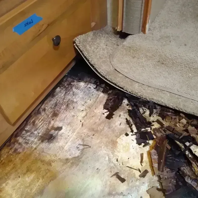 Wood Floor Water Damage in King George County, VA